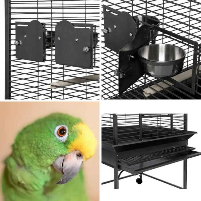 parrot-cage-strong.webp