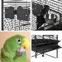 parrot-cage-strong.webp