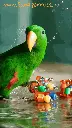 Photoroom-20250217_204328.webp