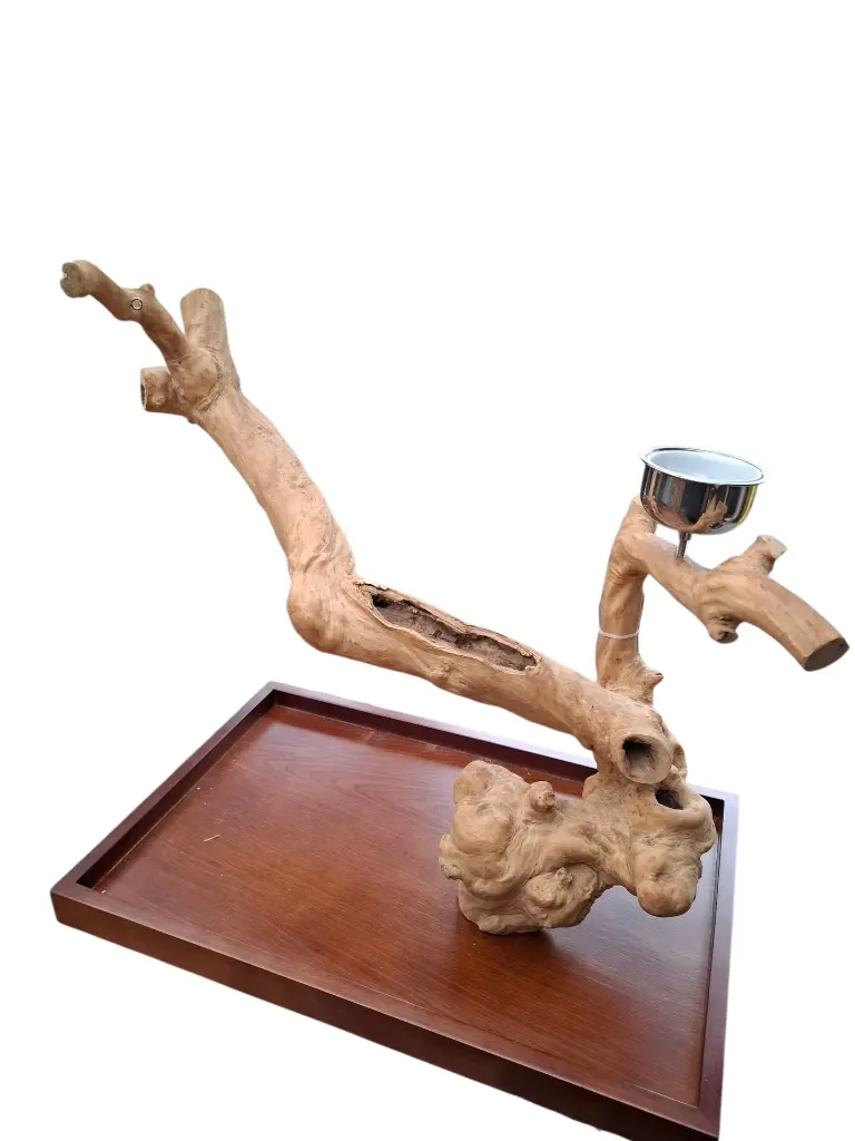 20251115_140833 (1).webp