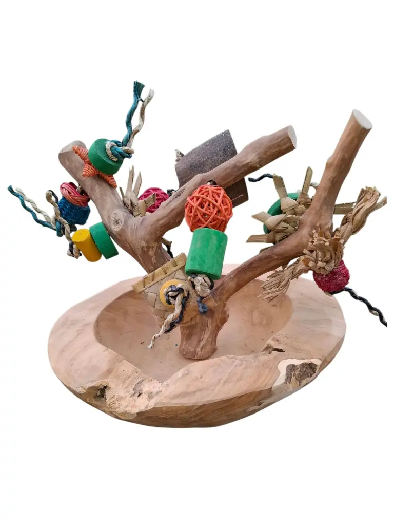 20260306_170327 (2).webp