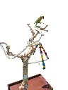 20260509_122054.webp