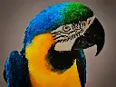 beng pexels-zepps-project-837783-2540644.webp