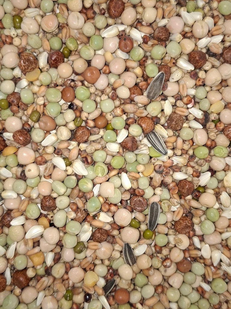 Graines germées pour grandes perruches et perroquets