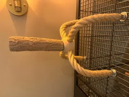 Araignée suspendue avec perchoir abrasif