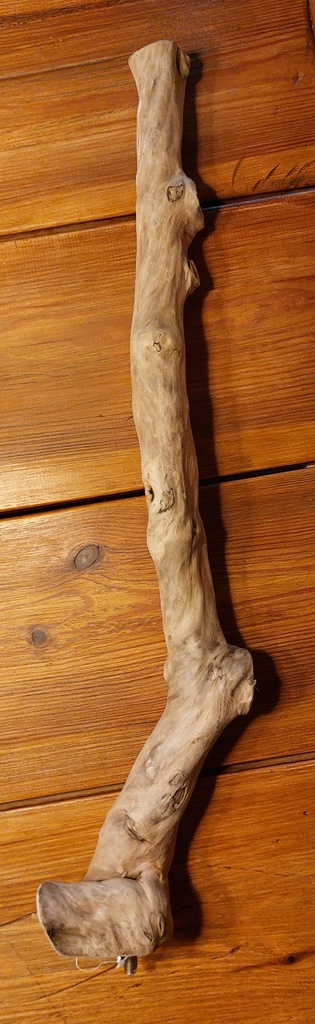 Single Perch Large – Perchoir naturel pour grands perroquets