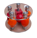 Jouet de patte Cercle