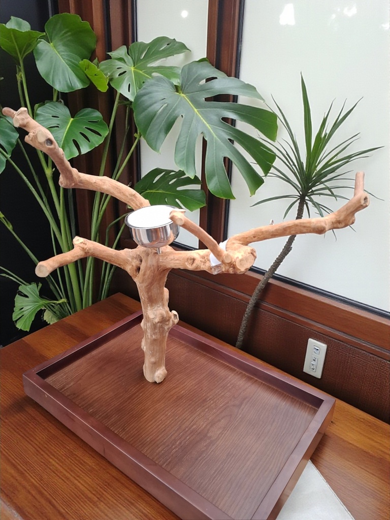 JAVABOOM TAFELMODEL  (Verkocht )