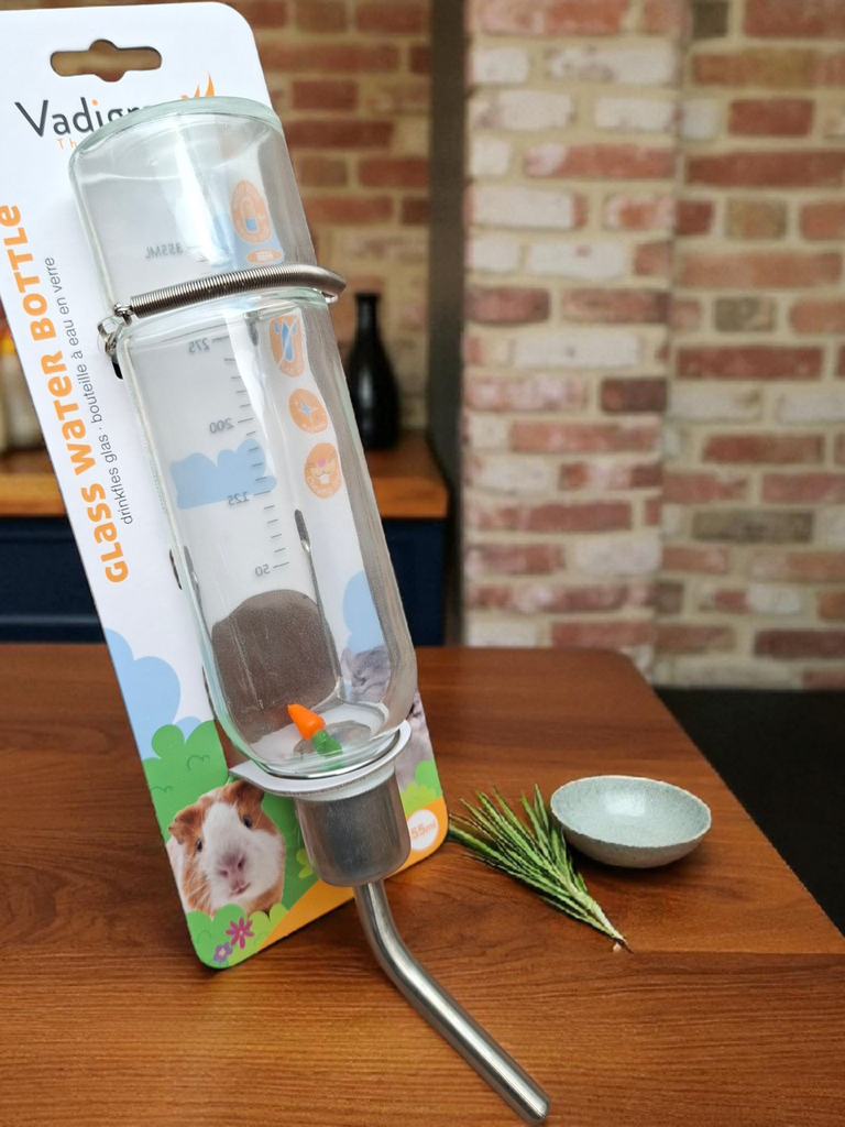 Bouteille à boire en verre 355 ml