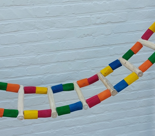 [swing0004-2] RAINBOW LADDER SWING LARGE 1m60