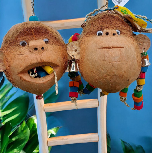 [TOYS0088 TOYS0008] COMBO COCONUT MONKEY MOM and MR MONKEY