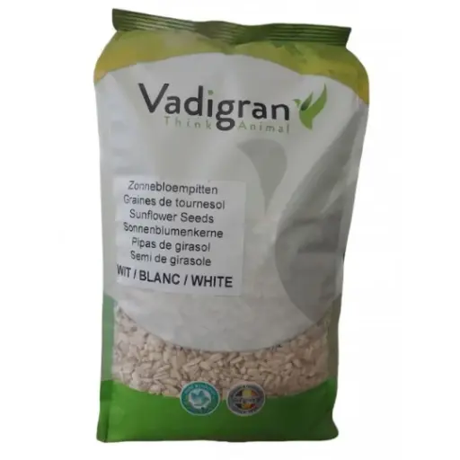 [215010] Grote Witte Zonnebloempitten 500g – Eiwitrijke traktatie voor je papegaai