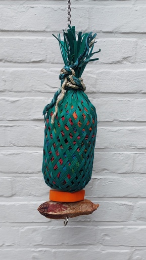 [TOYS0021] FORAGE PINEAPPLE