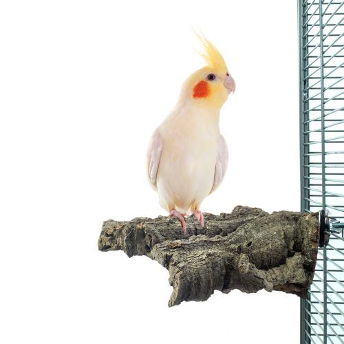 [109689000] LIÈGE À RONGER MEDIUM