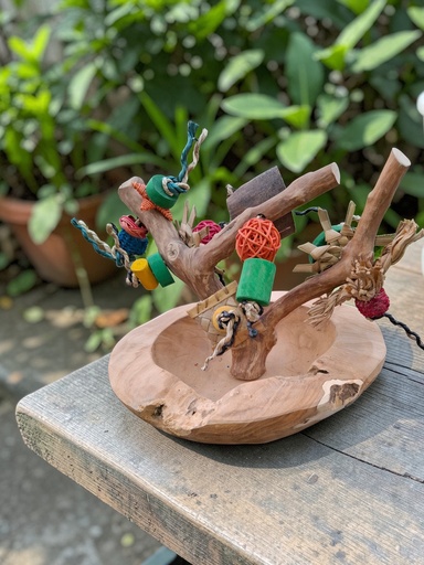 [foraging bowl] Foerageerschaal Javahout met Zitstok & Speelgoed – Foraging Bowl Medium