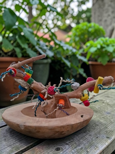 Foerageerschaal Javahout met Zitstok & Speelgoed – Foraging Bowl Large